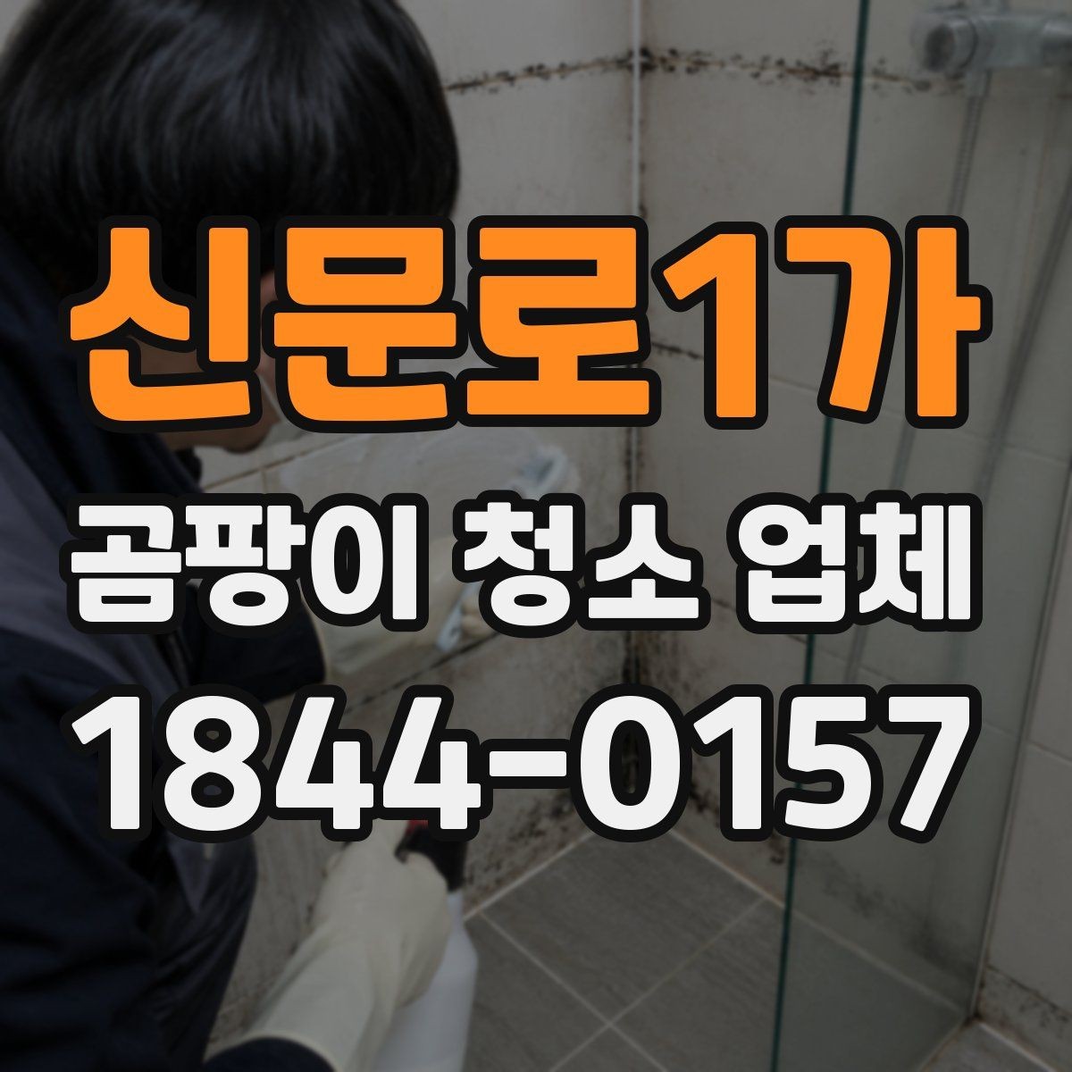 신문로1가 곰팡이 청소 업체 선택에 참고할 견적 항목