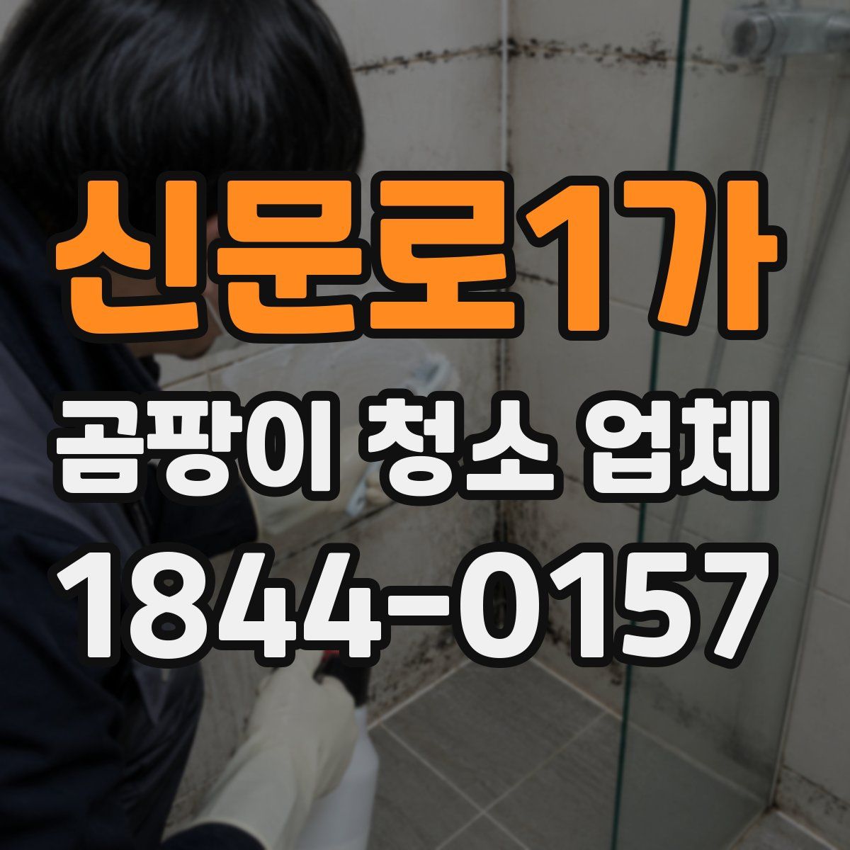 신문로1가 곰팡이 청소 업체