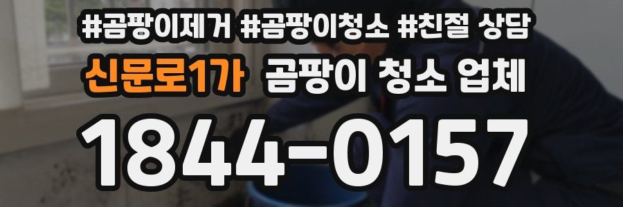 신문로1가 곰팡이 청소 업체