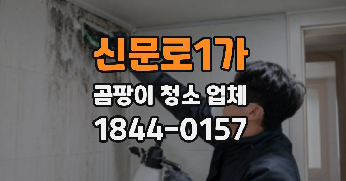 신문로1가 곰팡이 청소 업체
