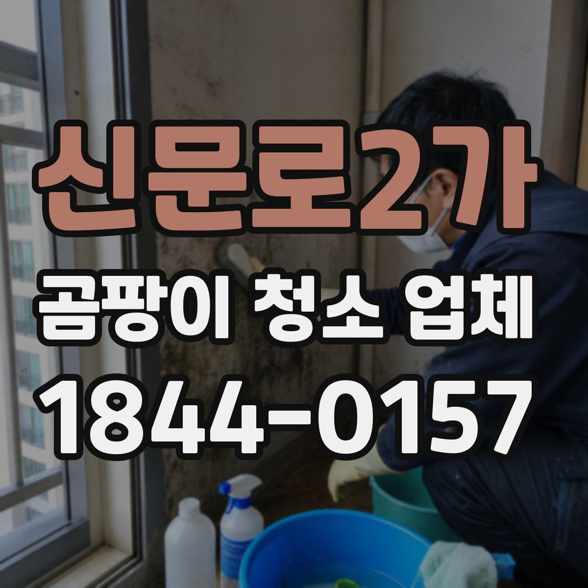 신문로2가 곰팡이 청소 업체