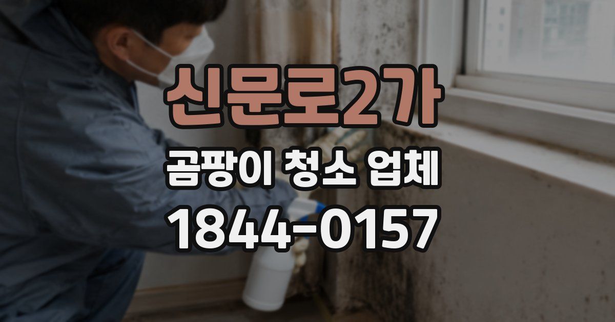 신문로2가 곰팡이 청소 업체