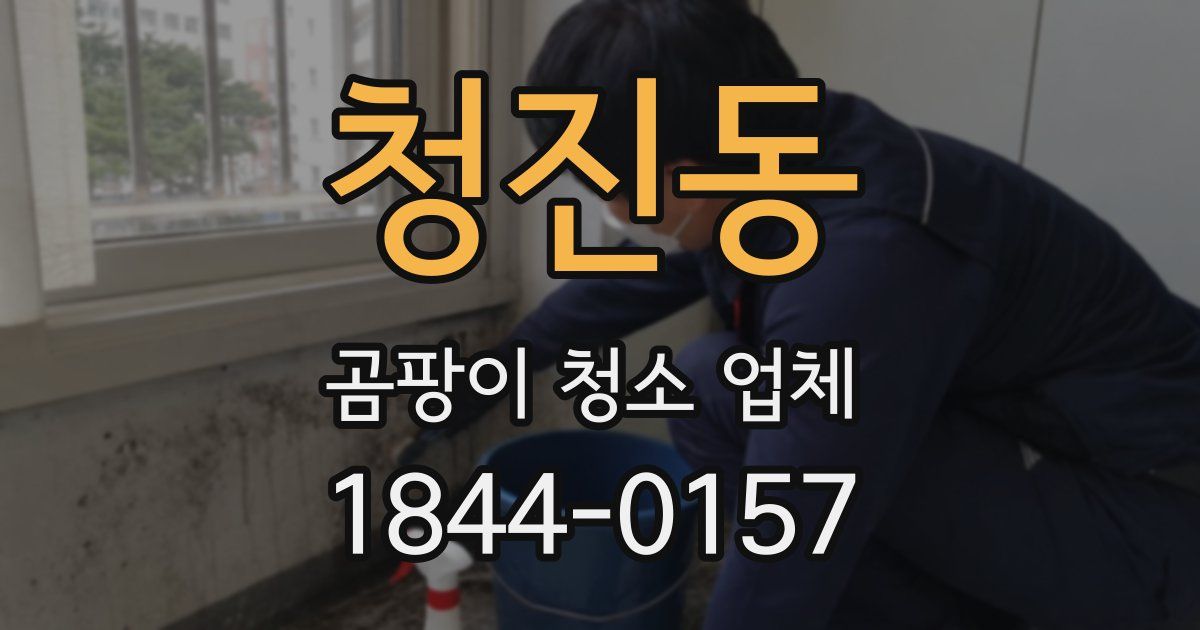 청진동 곰팡이 청소 업체