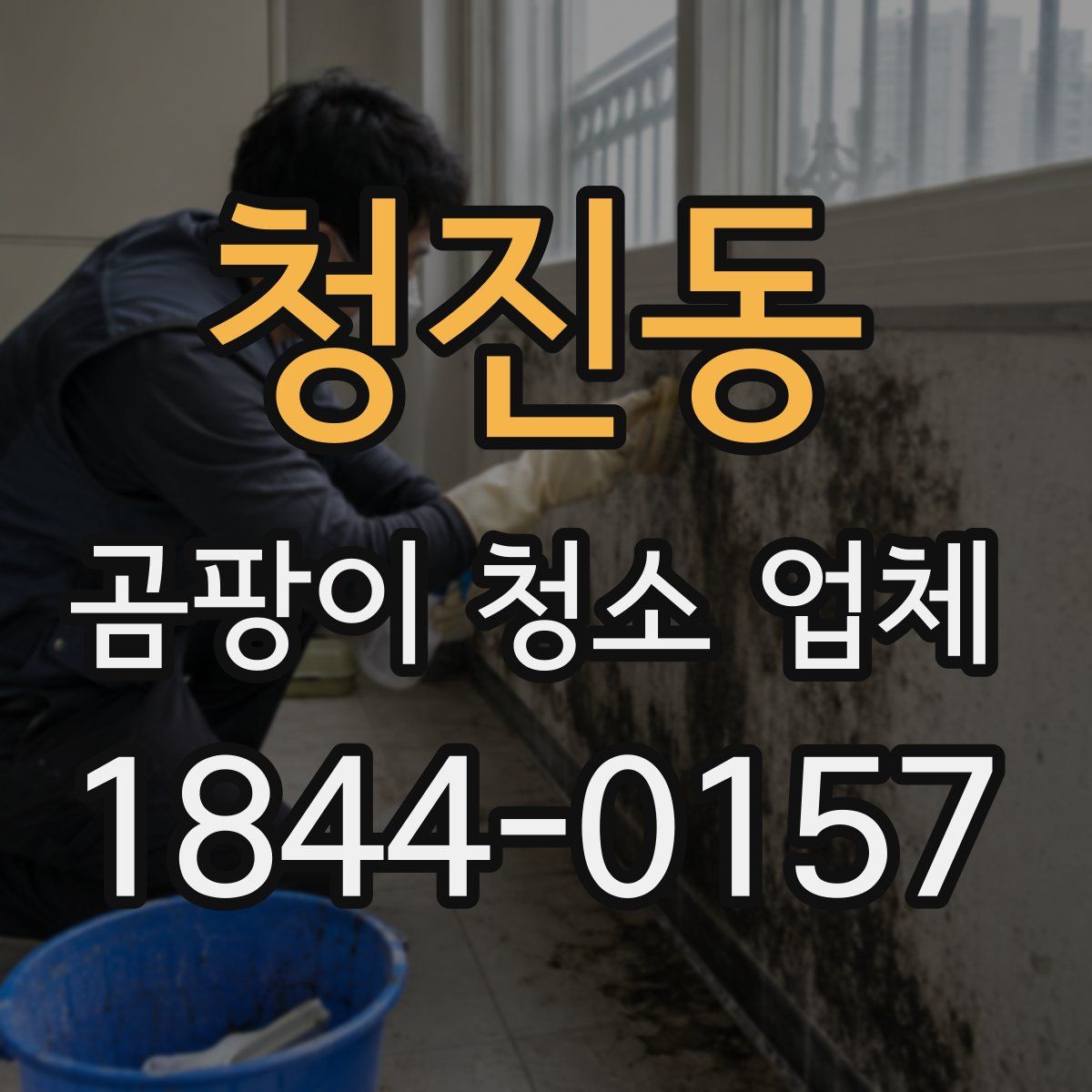 청진동 곰팡이 청소 업체