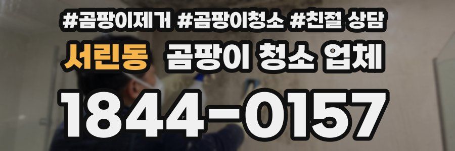 서린동 곰팡이 청소 업체