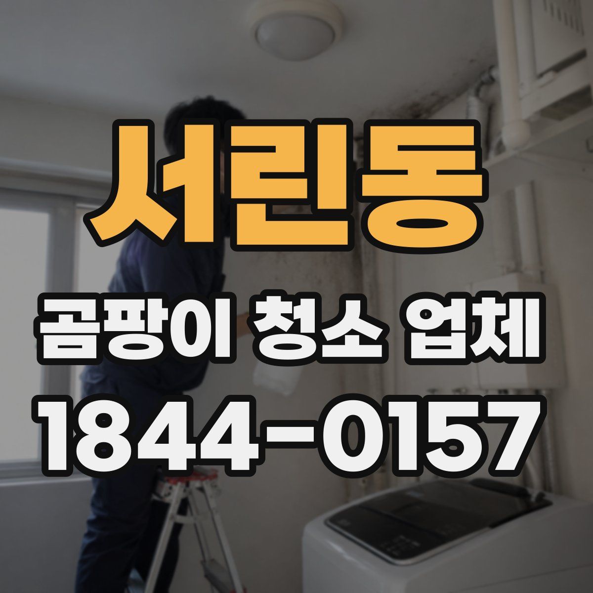 서린동 곰팡이 청소 업체