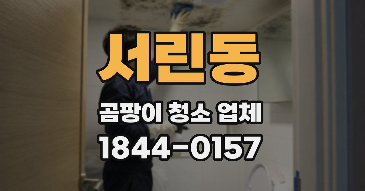 서린동 곰팡이 청소 업체