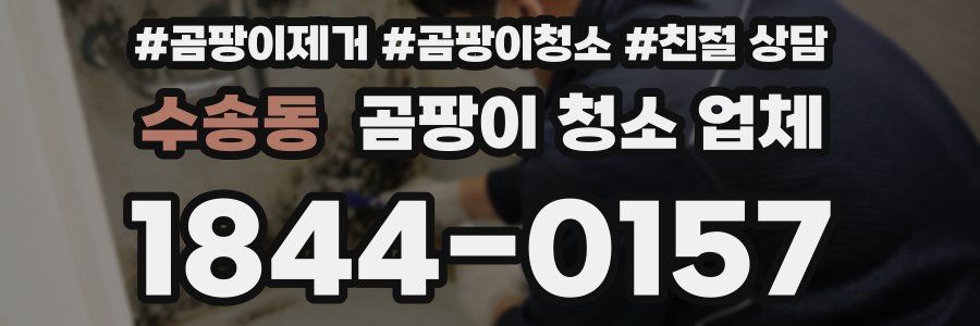수송동 곰팡이 청소 업체
