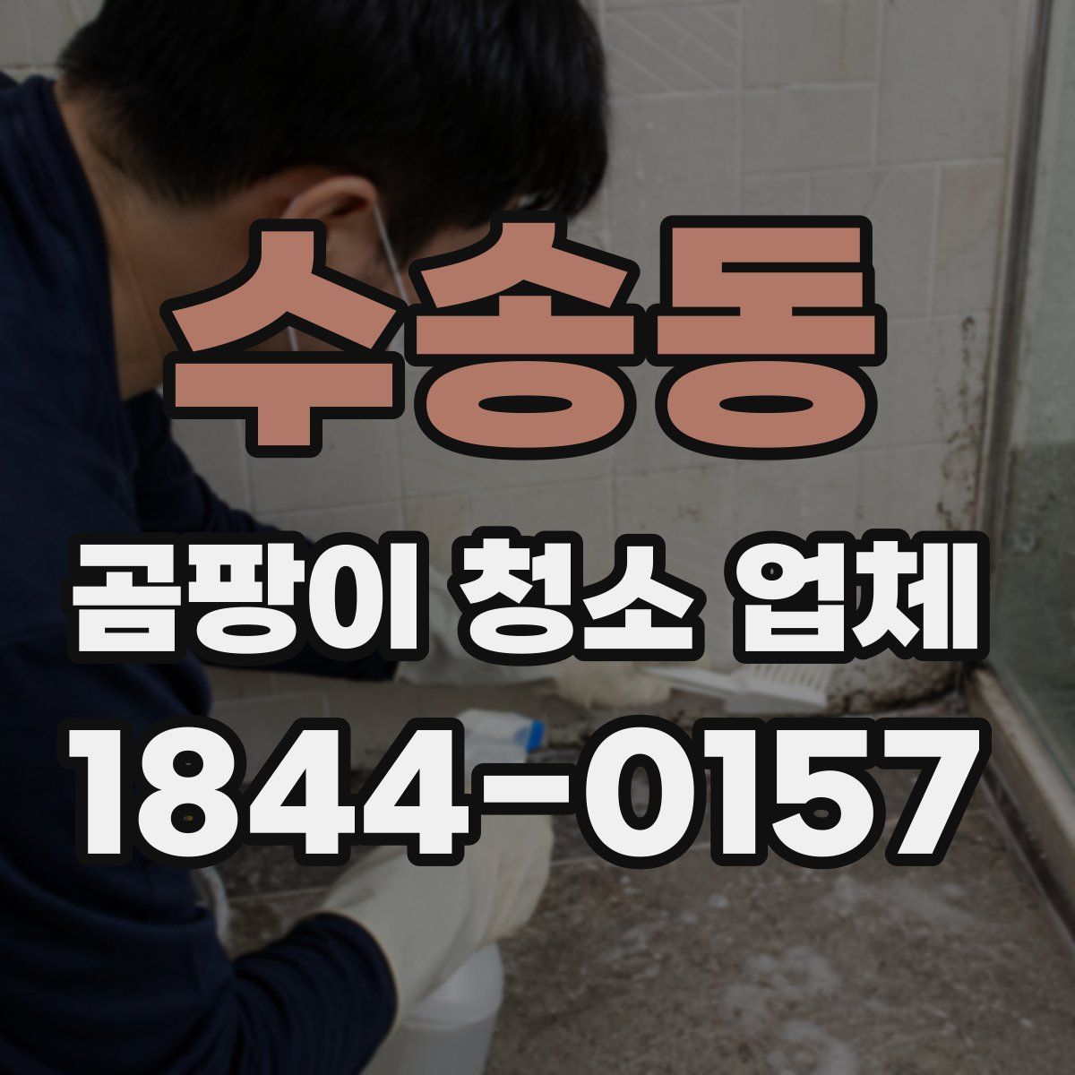 수송동 곰팡이 청소 업체