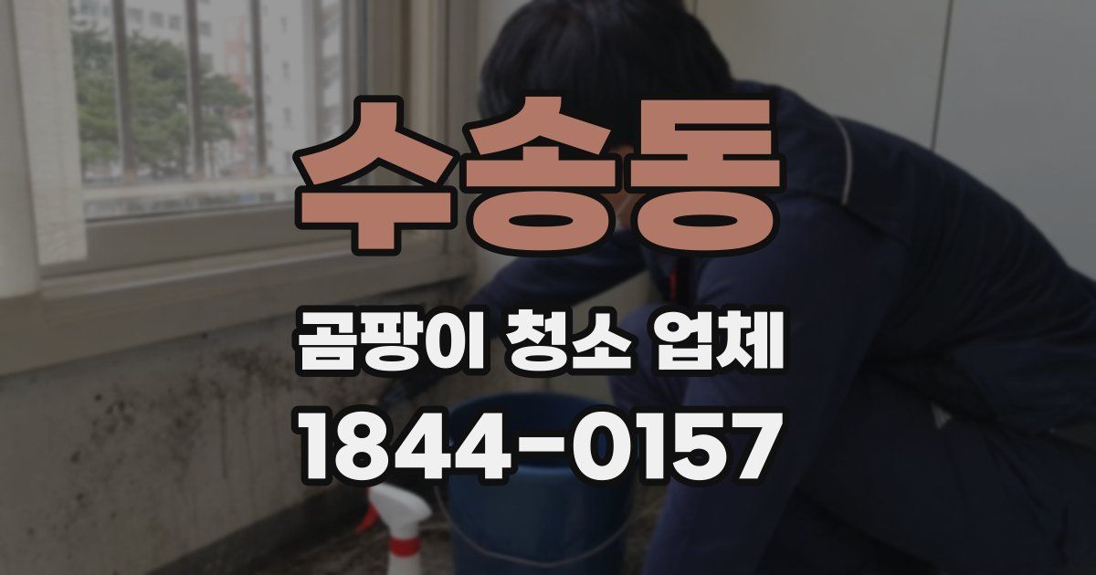 수송동 곰팡이 청소 업체