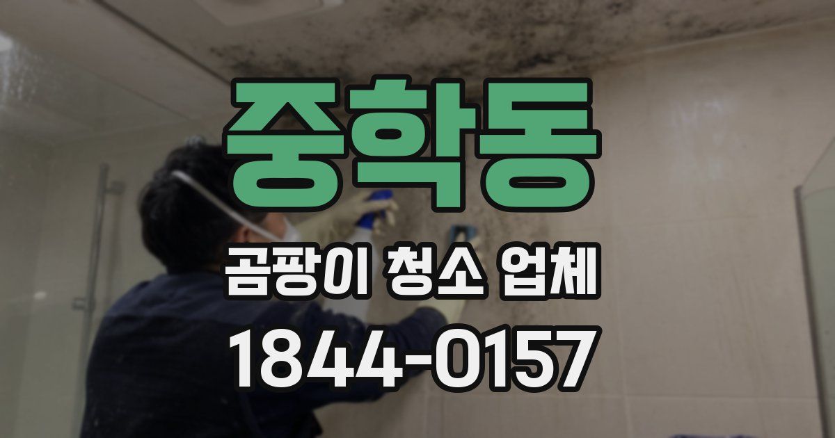 중학동 곰팡이 청소 업체