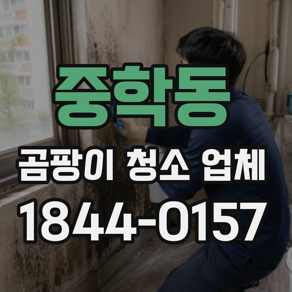 중학동 곰팡이 청소 업체