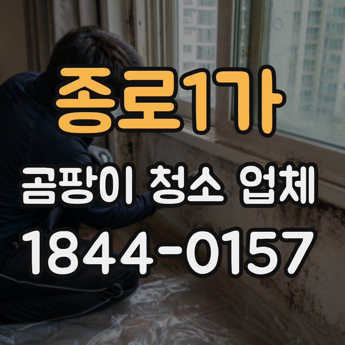 종로1가 곰팡이 청소 업체
