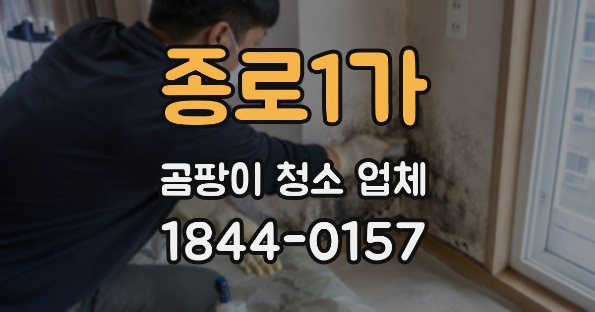 종로1가 곰팡이 청소 업체