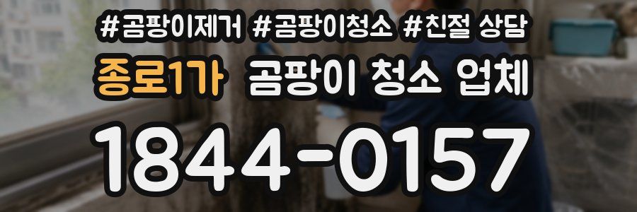 종로1가 곰팡이 청소 업체