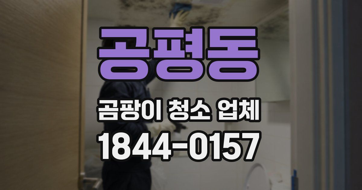 공평동 곰팡이 청소 업체
