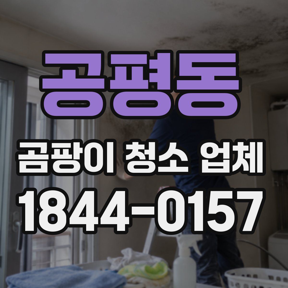 공평동 곰팡이 청소 업체