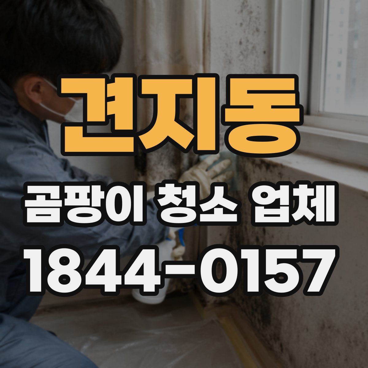 견지동 곰팡이 청소 업체