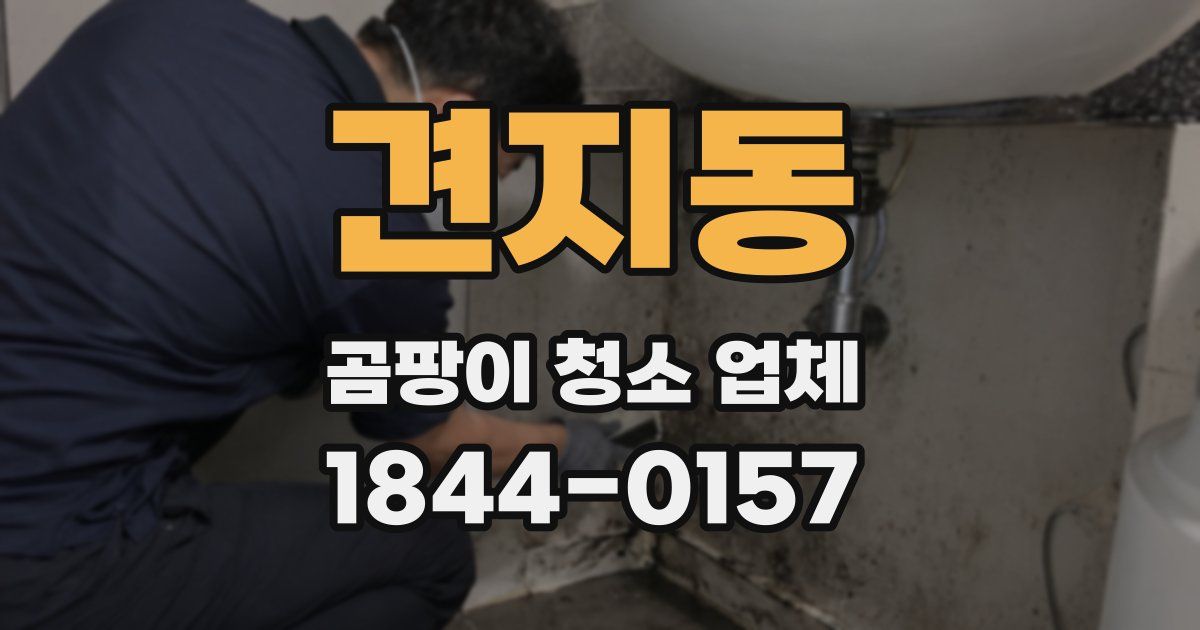 견지동 곰팡이 청소 업체