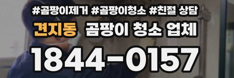 견지동 곰팡이 청소 업체