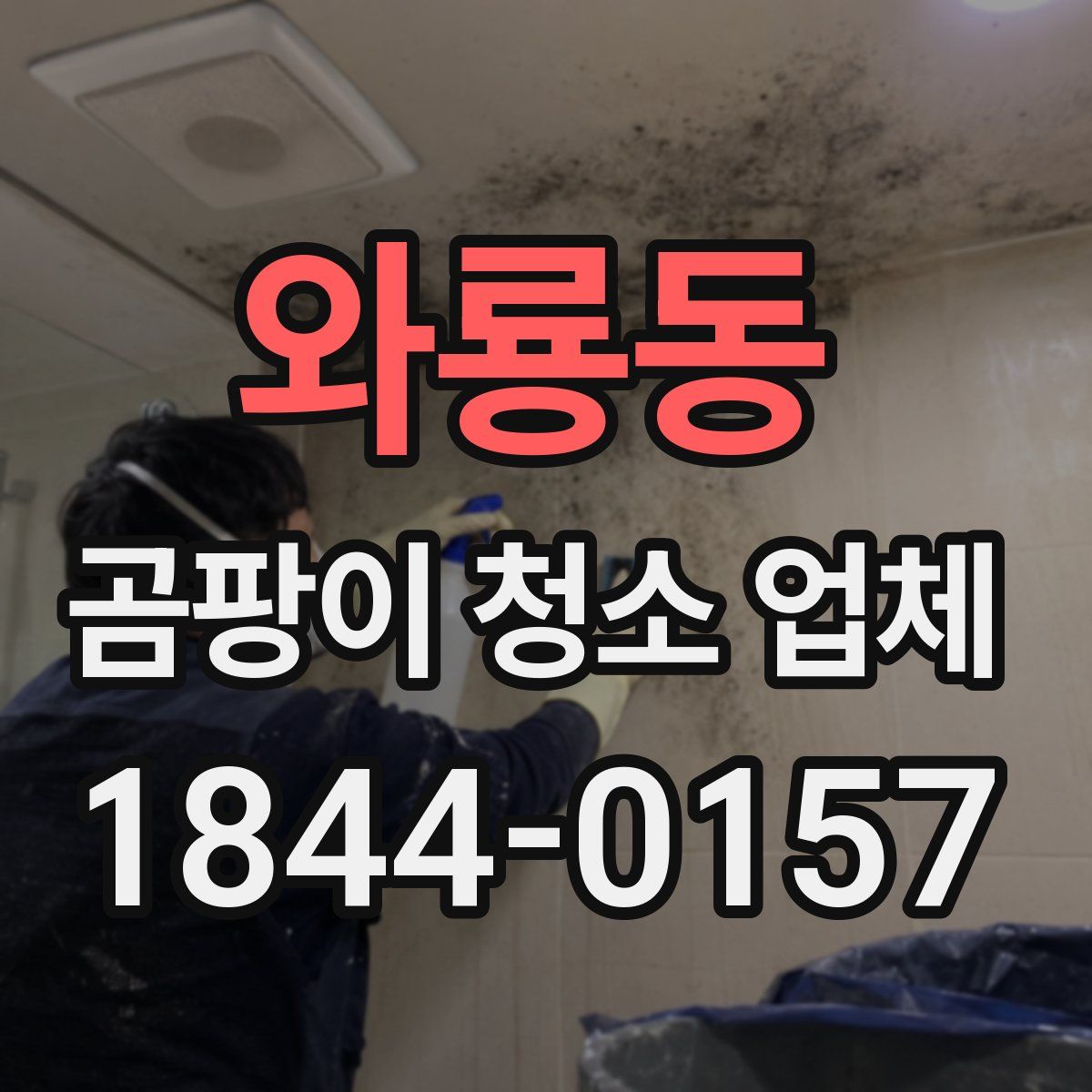 와룡동 곰팡이 청소 업체