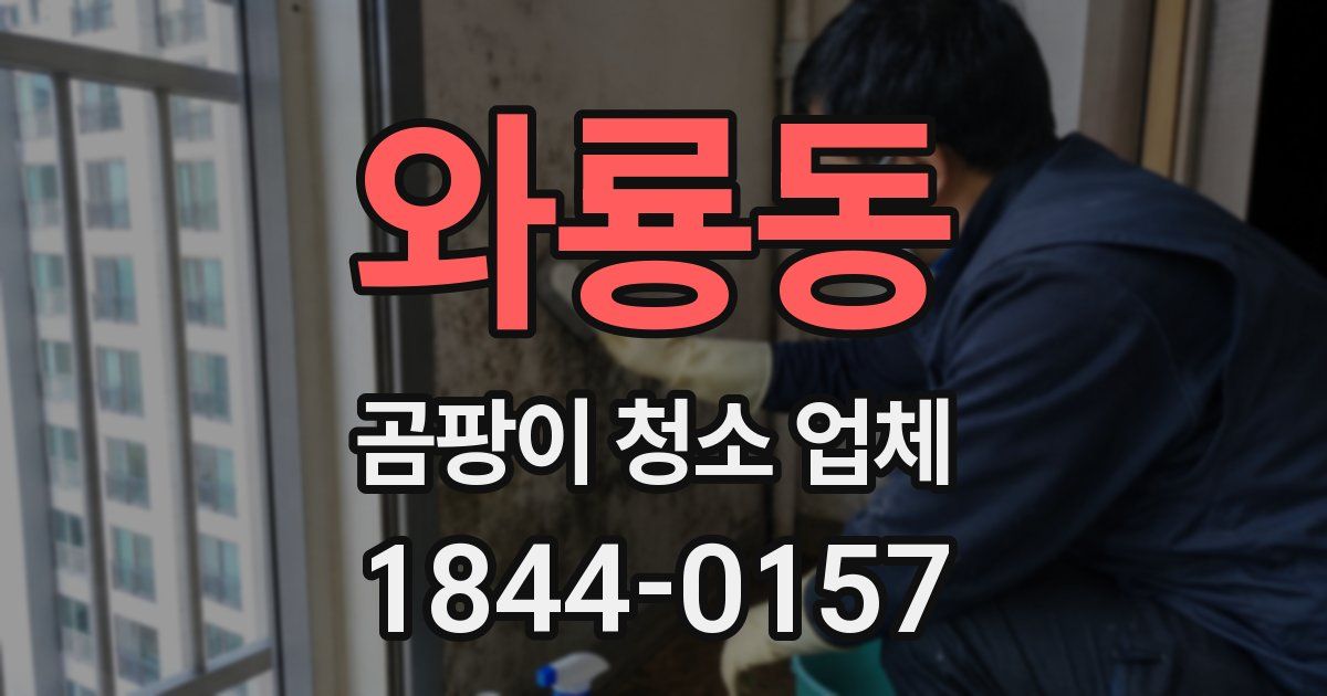 와룡동 곰팡이 청소 업체