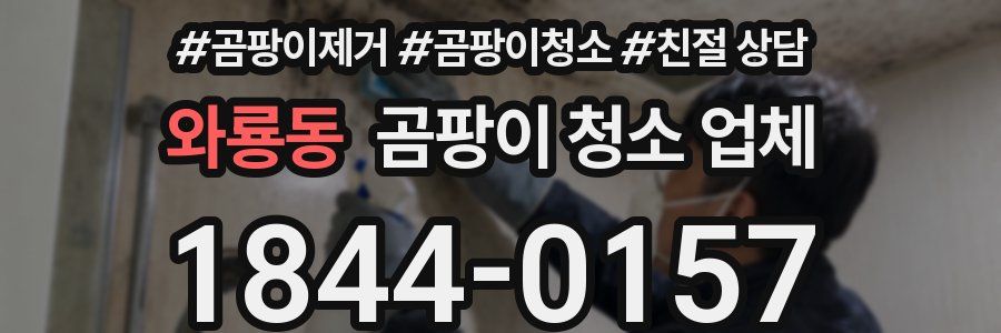 와룡동 곰팡이 청소 업체