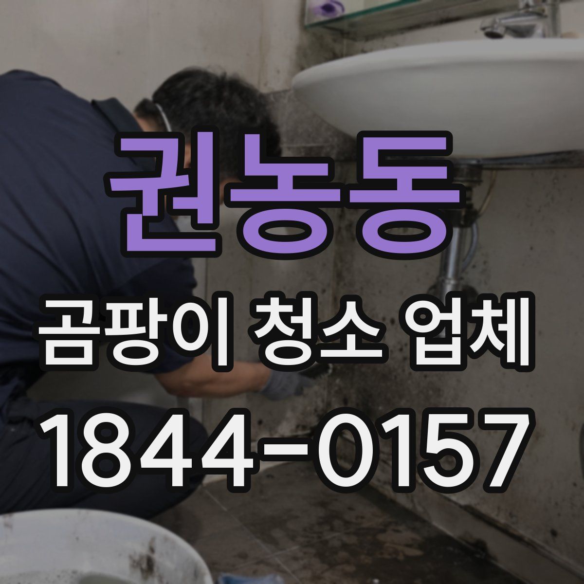 권농동 곰팡이 청소 업체