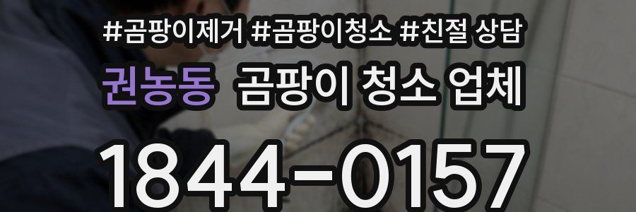 권농동 곰팡이 청소 업체