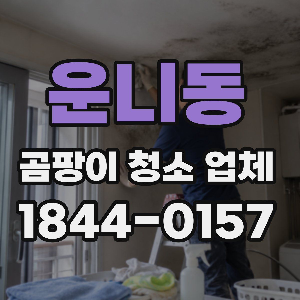 운니동 곰팡이 청소 업체