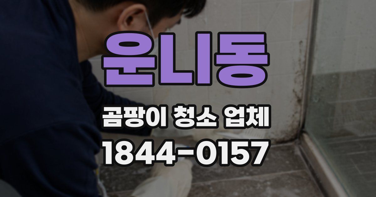 운니동 곰팡이 청소 업체