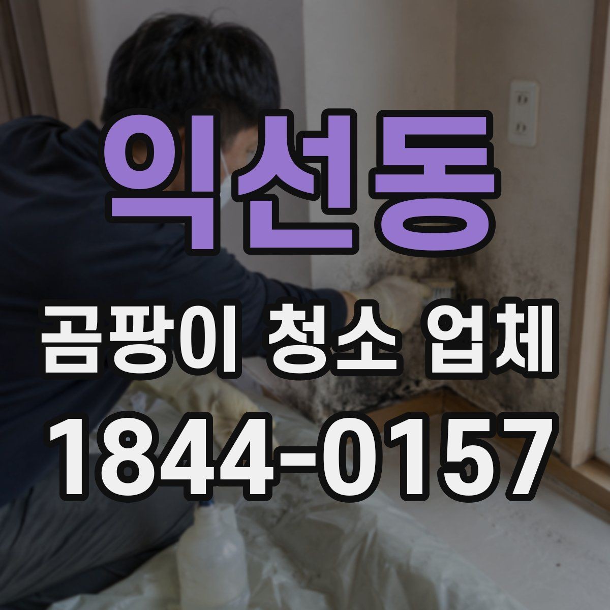 익선동 곰팡이 청소 업체 선택 시 지역별 서비스 차이