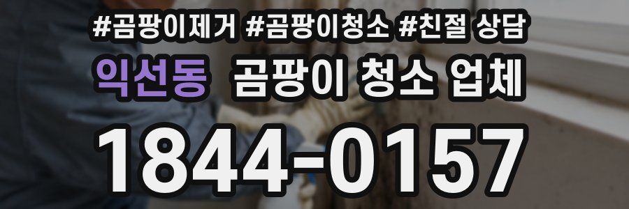 익선동 곰팡이 청소 업체