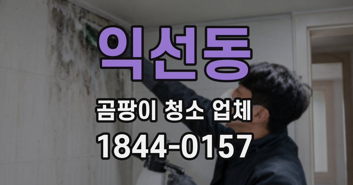 익선동 곰팡이 청소 업체