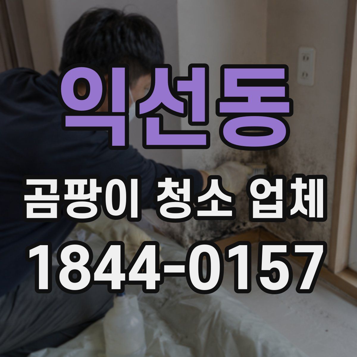 익선동 곰팡이 청소 업체