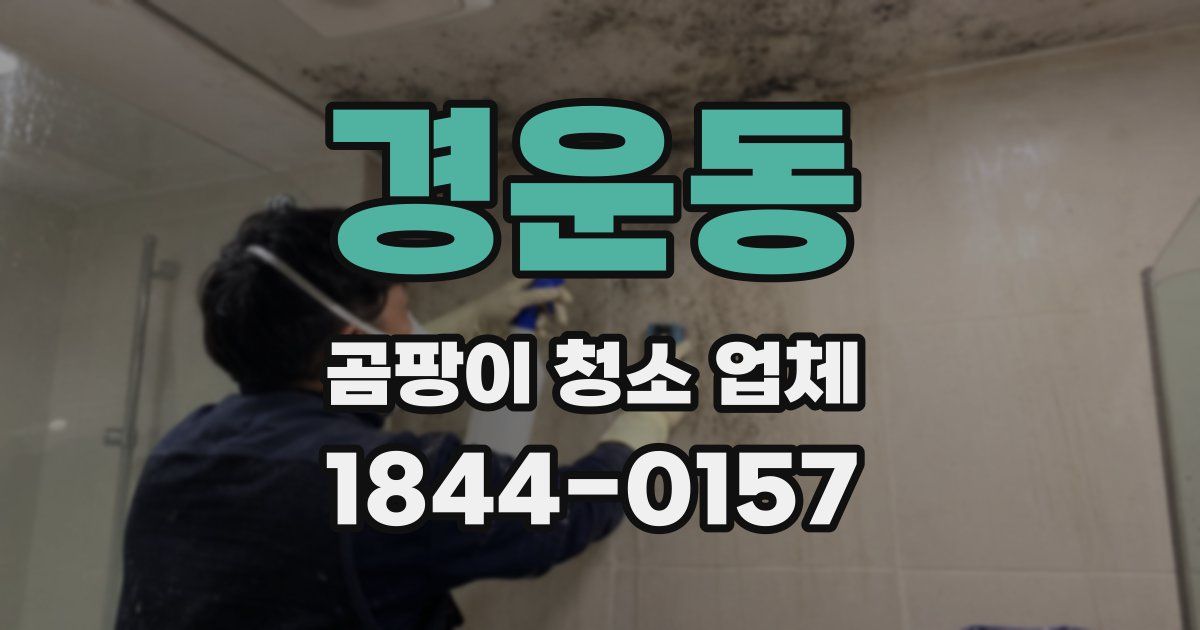 경운동 곰팡이 청소 업체