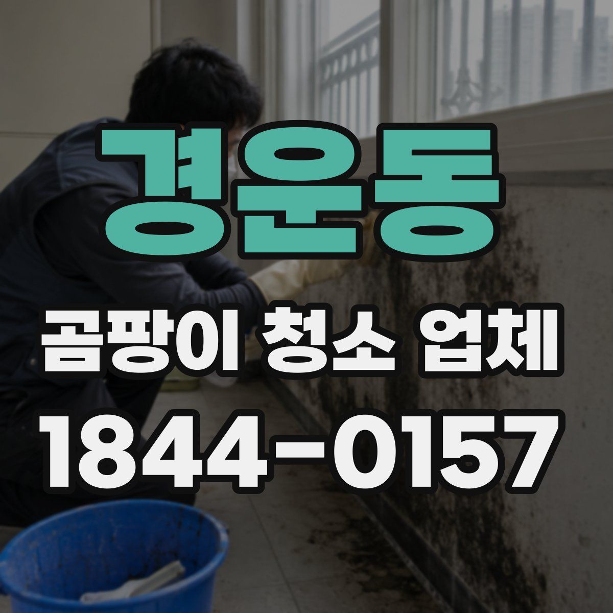경운동 곰팡이 청소 업체