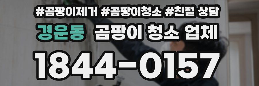경운동 곰팡이 청소 업체