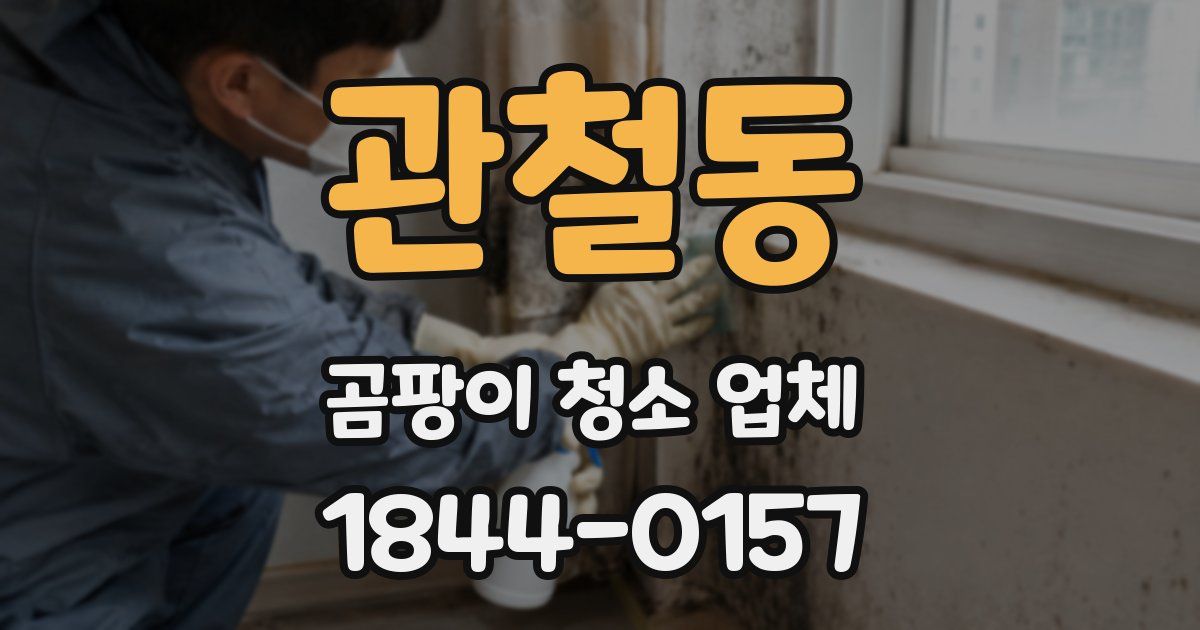 관철동 곰팡이 청소 업체