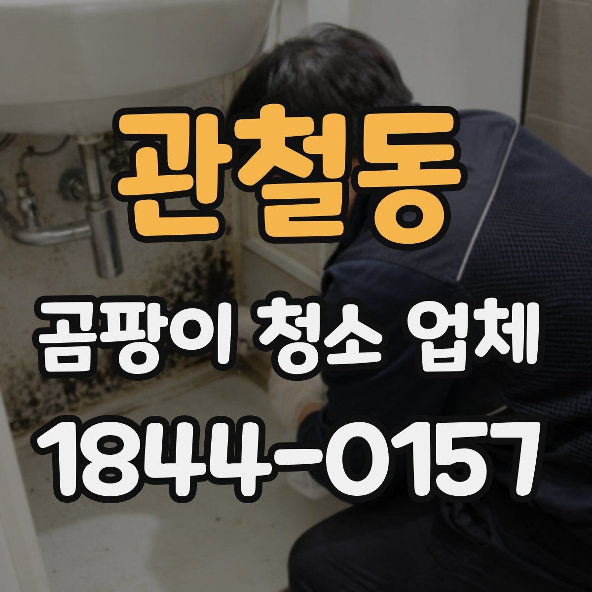 관철동 곰팡이 청소 업체