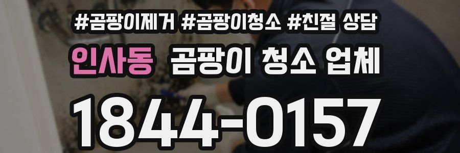 인사동 곰팡이 청소 업체