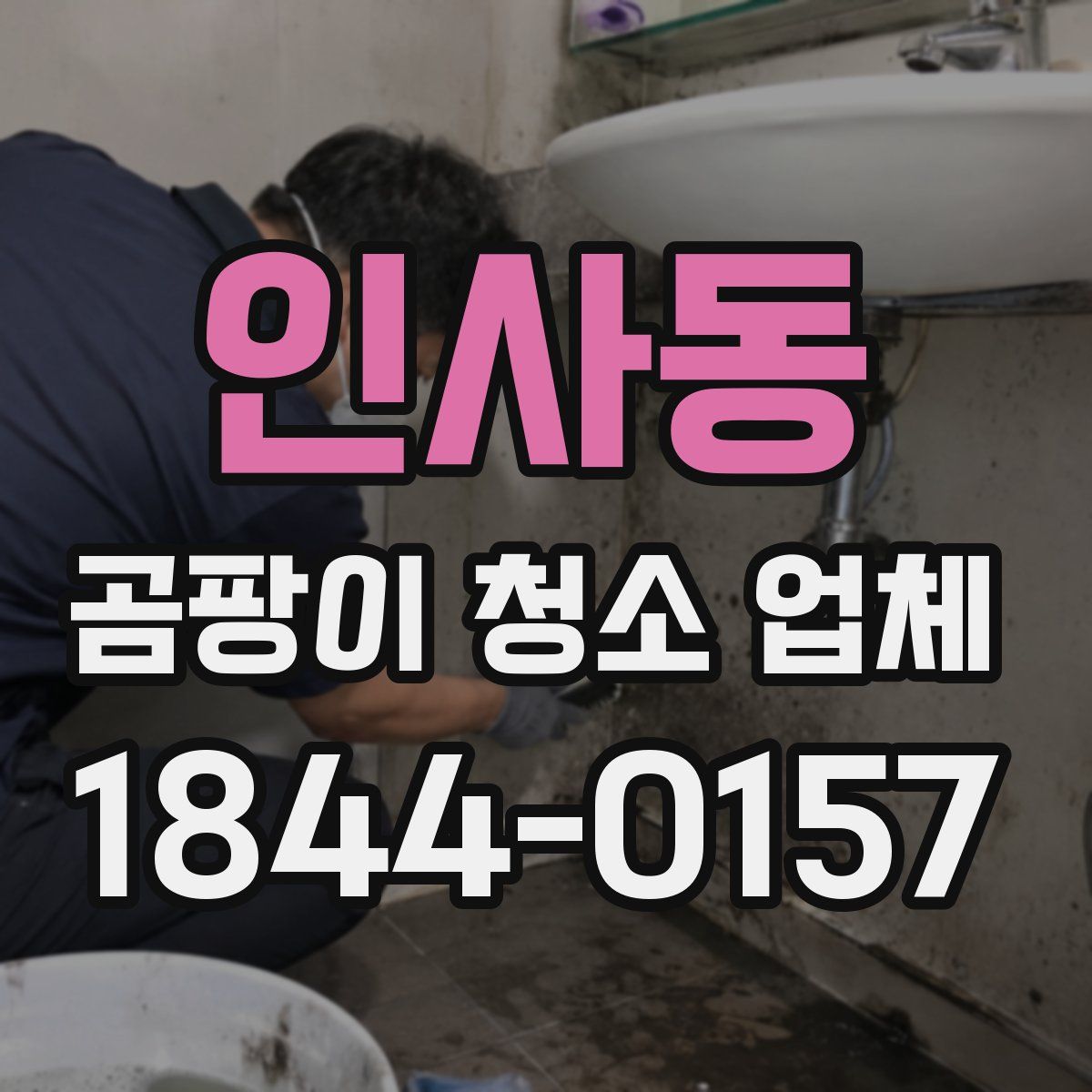 인사동 곰팡이 청소 업체