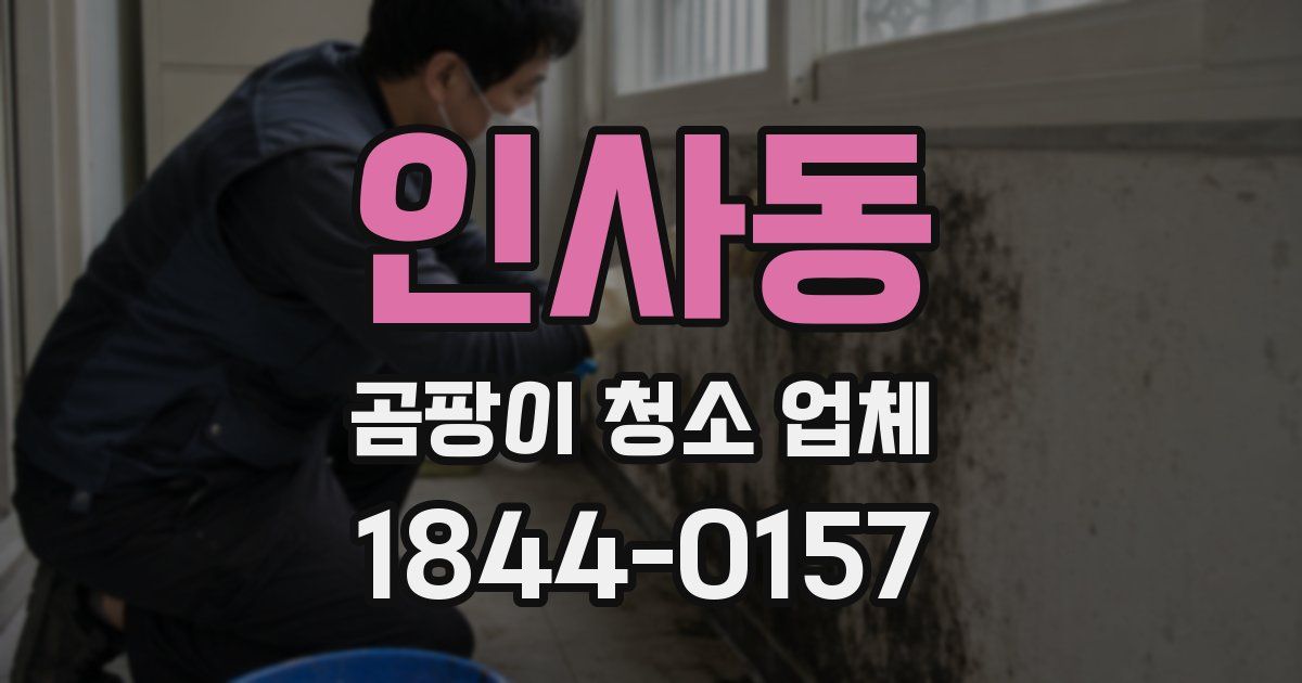 인사동 곰팡이 청소 업체