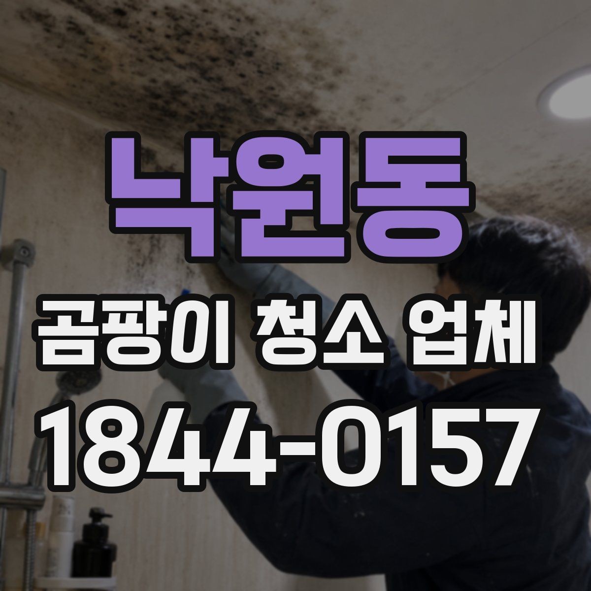 낙원동 곰팡이 청소 업체 작업 시간은 얼마나 걸릴까