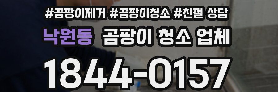 낙원동 곰팡이 청소 업체
