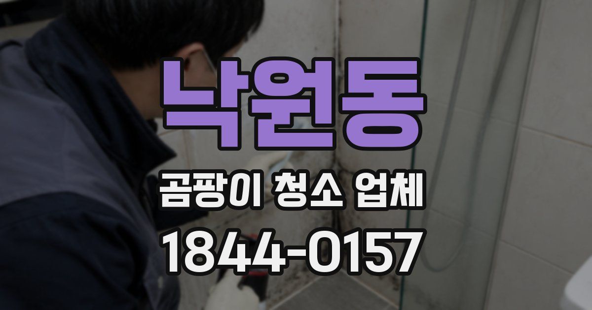 낙원동 곰팡이 청소 업체