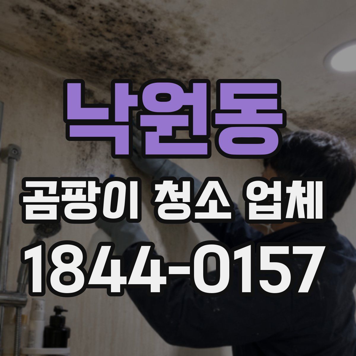 낙원동 곰팡이 청소 업체