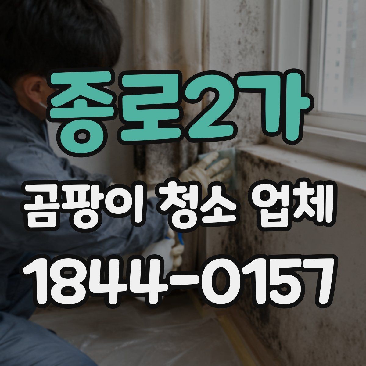 종로2가 곰팡이 청소 업체 서비스 신청 전 알아둘 일정
