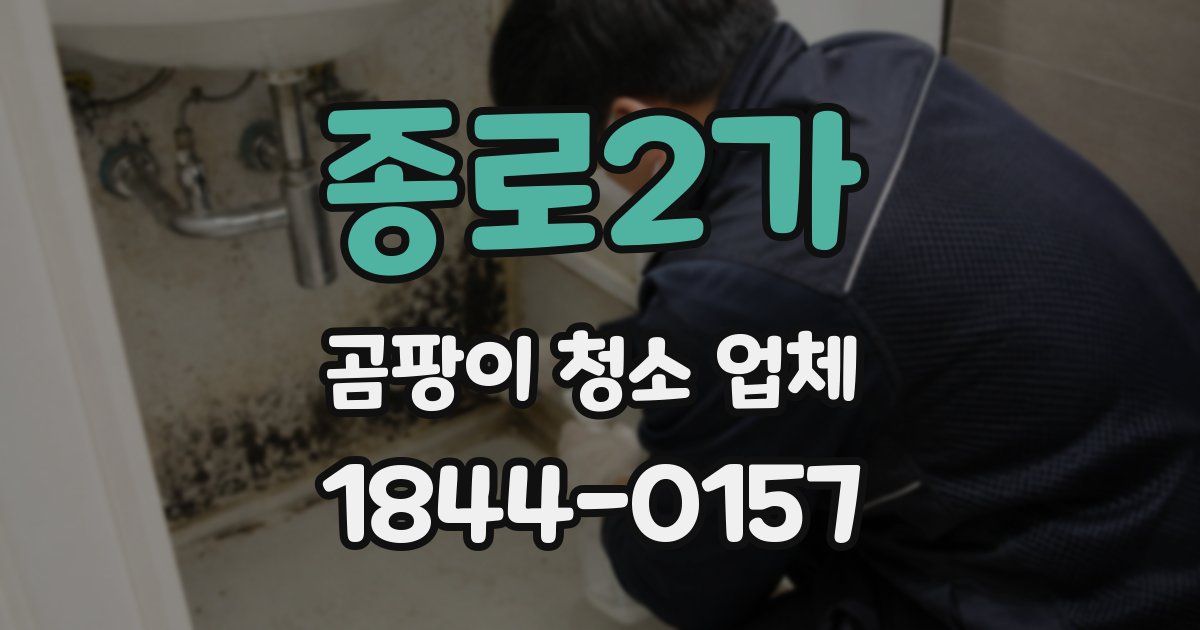 종로2가 곰팡이 청소 업체