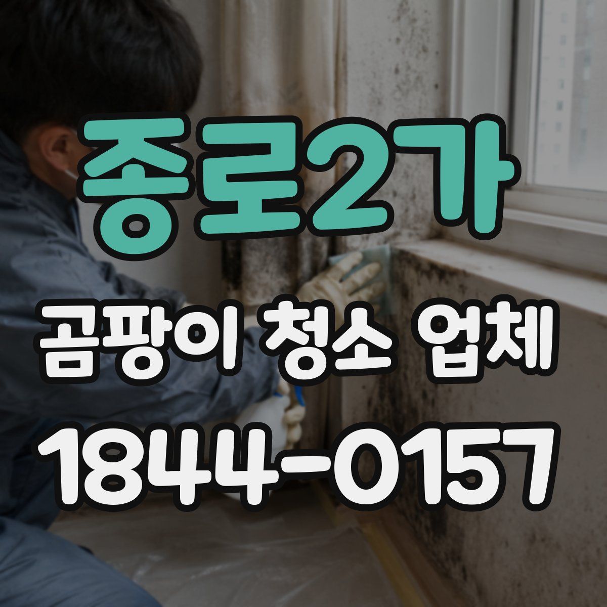 종로2가 곰팡이 청소 업체
